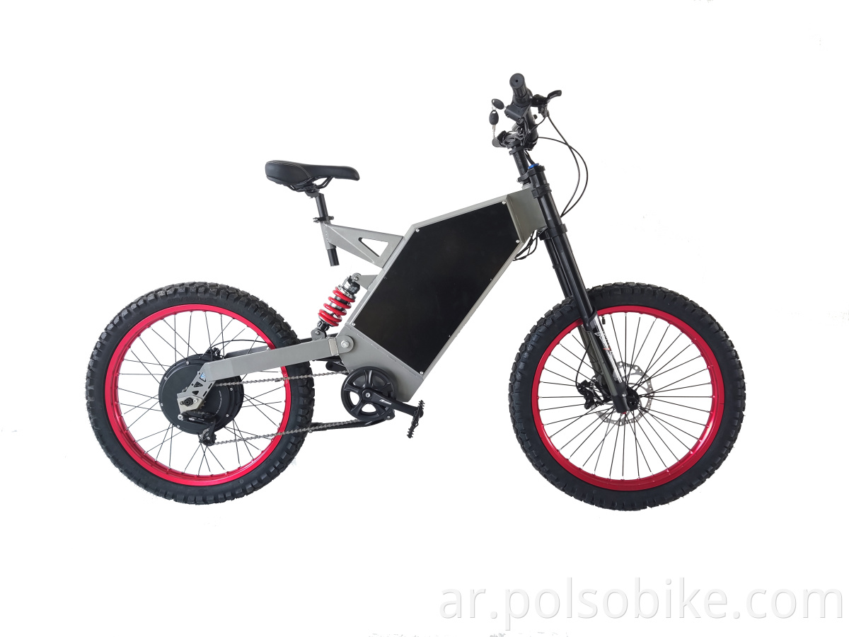 SS30 E-bike